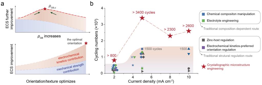 西安交大申胜平教授团队基于力电化学耦合破局金属负极枝晶生长研究成果在《自然通讯》发布