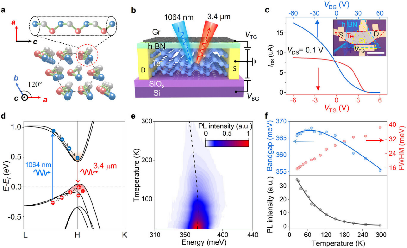 北京大学物理学院​孙栋课题组与合作者在二维碲中实现电可调谐的中红外光致发光