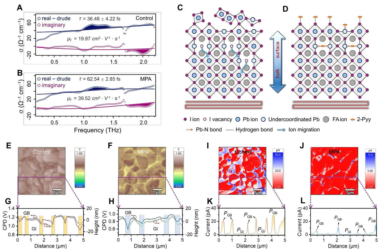 西安交大新年首篇《科学》！钙钛矿电池领域联合研究再次实现重大突破