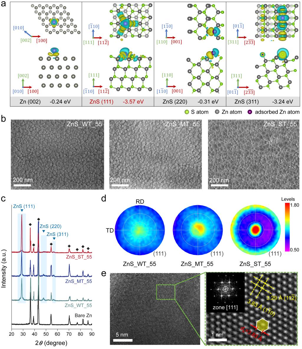 西安交大申胜平教授团队基于力电化学耦合破局金属负极枝晶生长研究成果在《自然通讯》发布