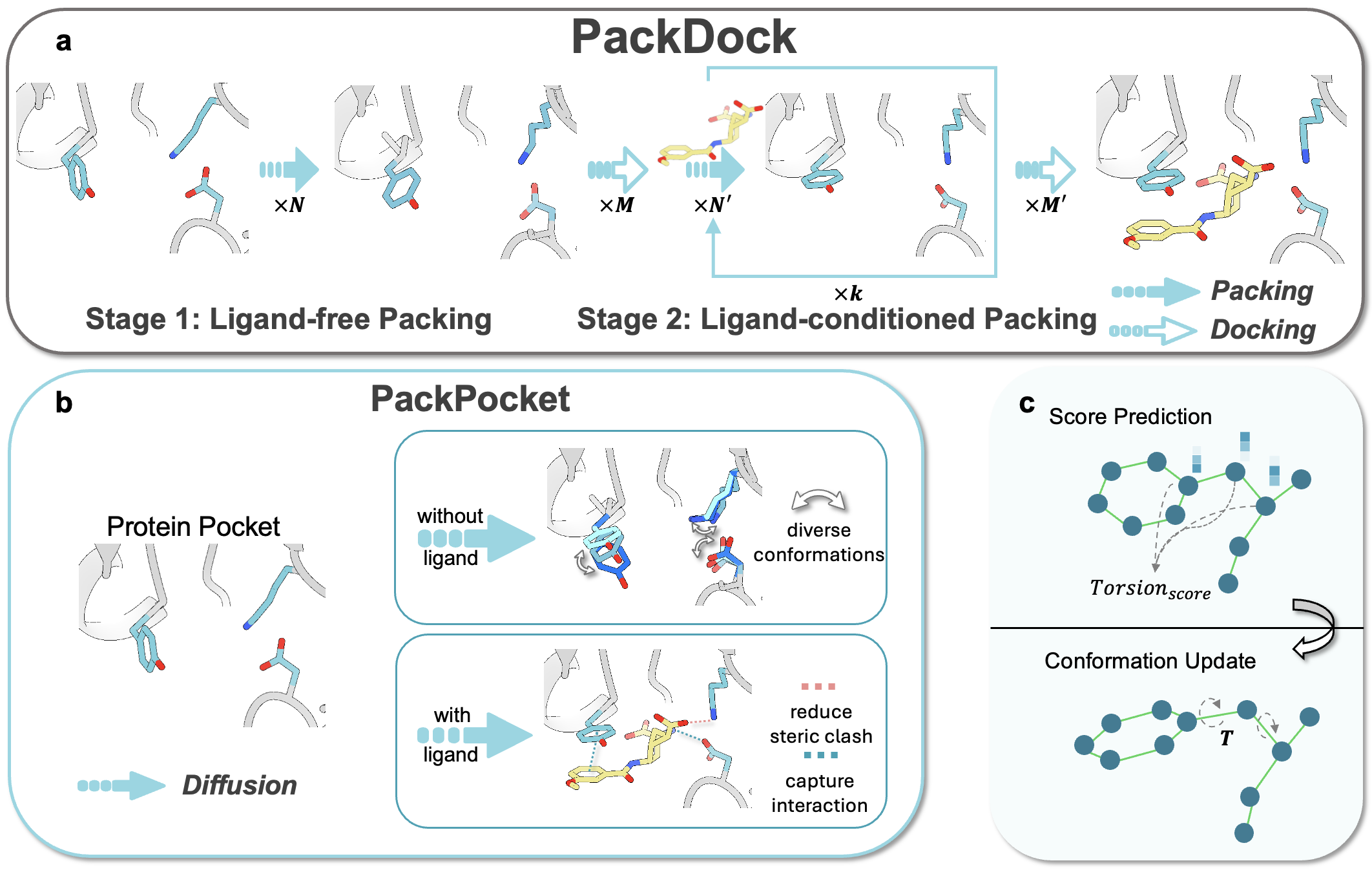 科学家提出蛋白质—配体复合物柔性结构预测方法PackDock
