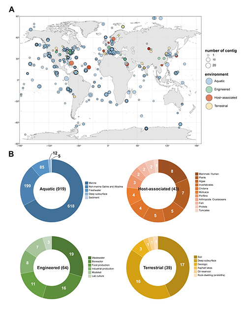 中国海洋大学在海洋病毒多样性与生态作用领域取得新进展