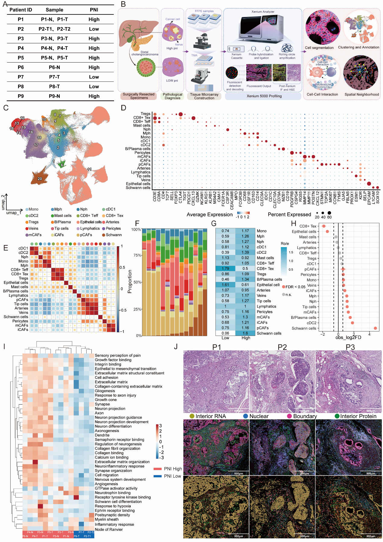 清华大学北京清华长庚医院董家鸿团队发表胆管癌神经侵犯空间转录组学新成果