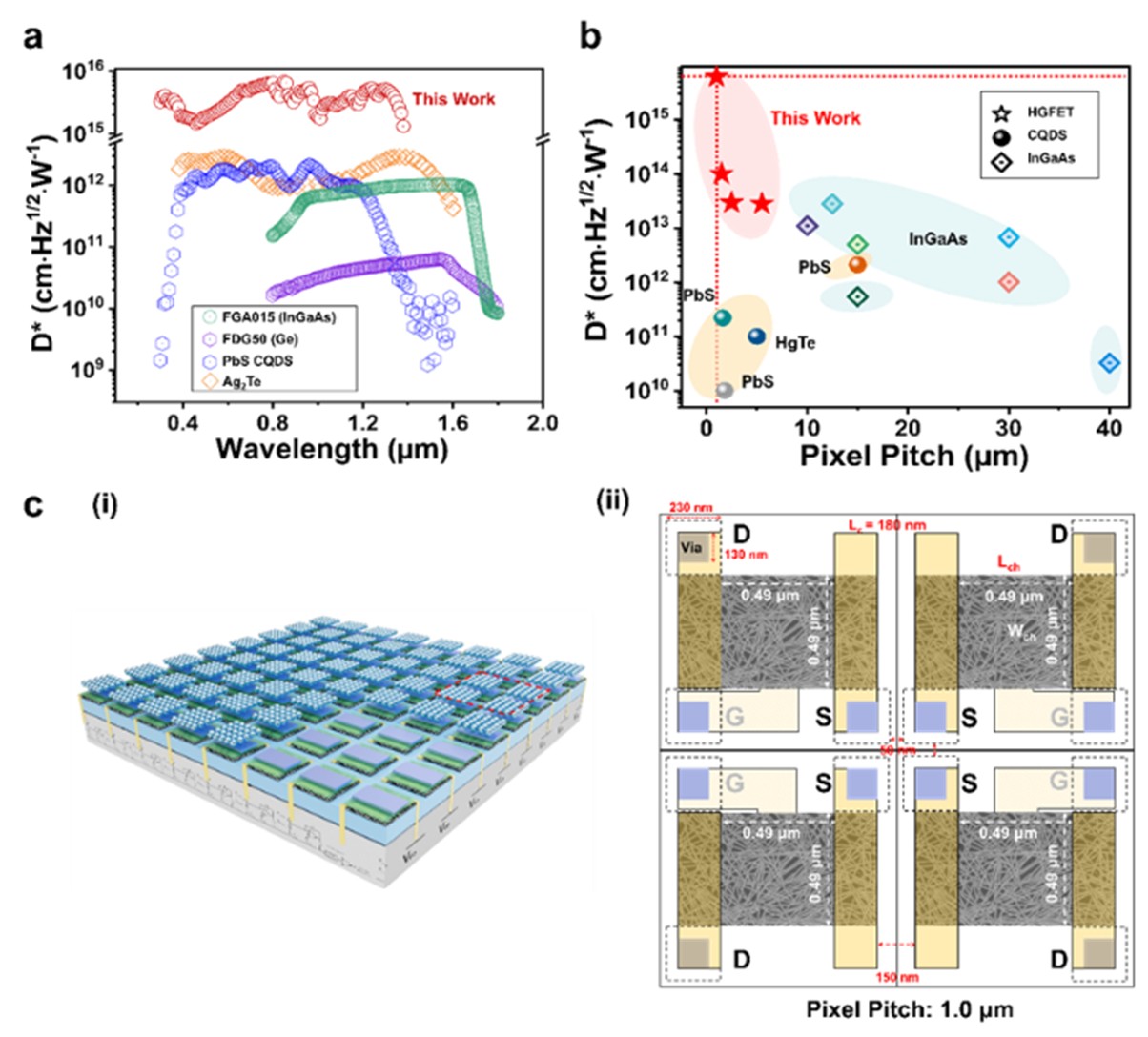 北京大学电子学院张志勇团队实现超高灵敏短波红外探测新突破