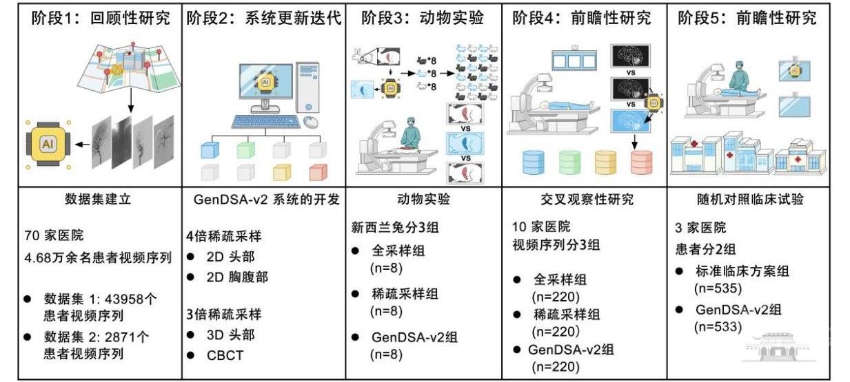 武汉大学杜博/赵煌旋团队医学人工智能研究取得新进展