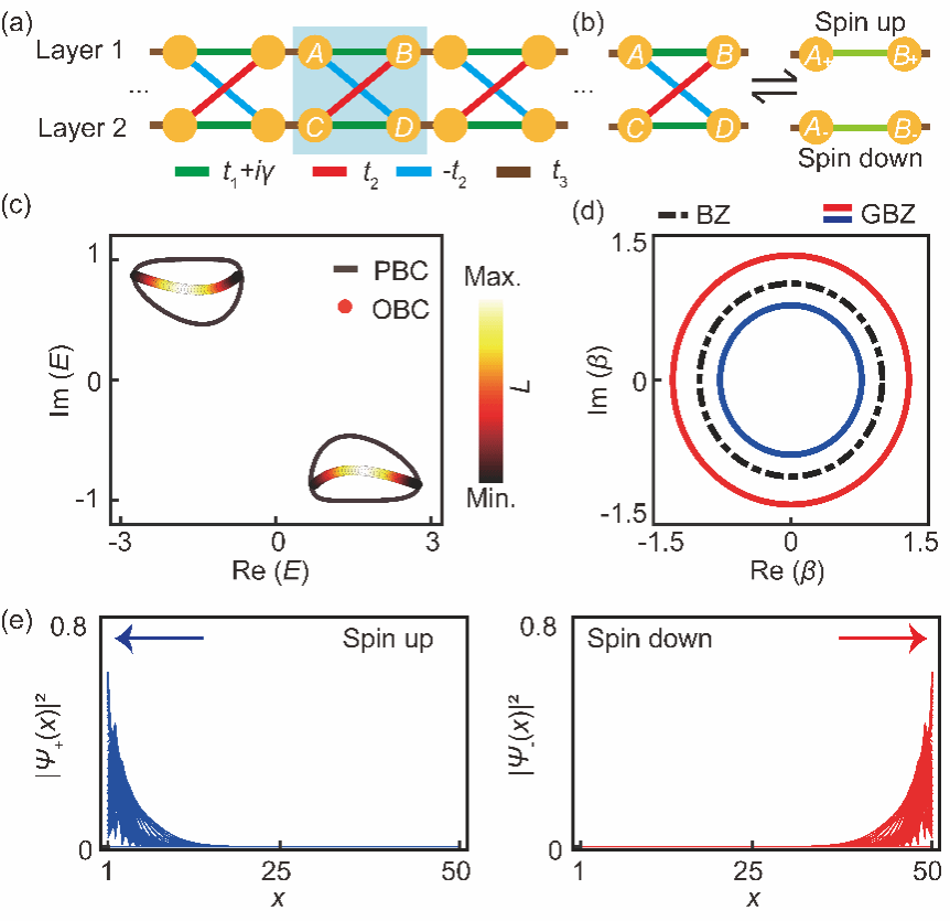 南京大学物理学院刘晓峻、程营课题组实现声学损耗引起的非厄米趋肤效应