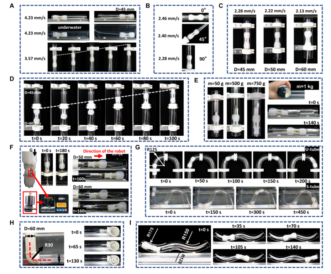 清华大学深圳国际研究生院曲钧天团队在海洋仿生机器人领域取得系列进展
