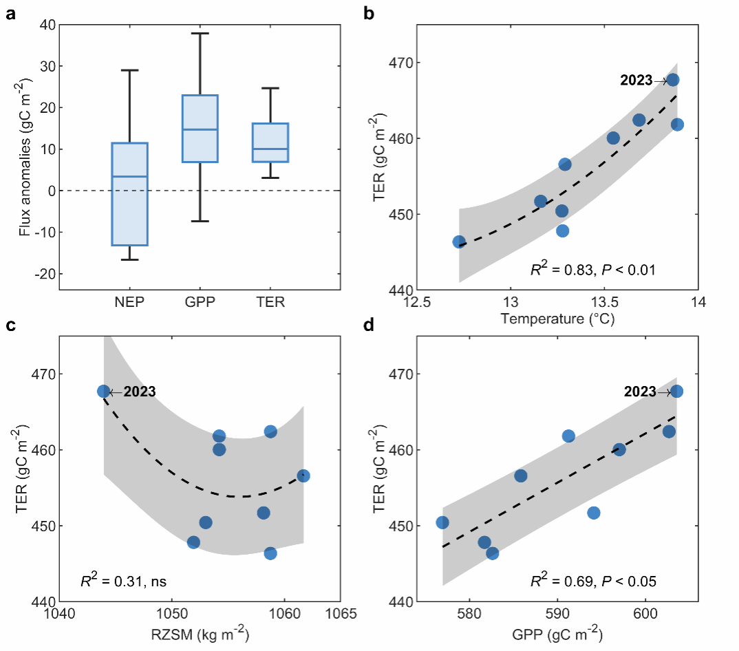 南京大学国际地球系统科学研究所江飞教授团队揭示极端高温干旱期间加拿大森林净碳吸收的增强现象