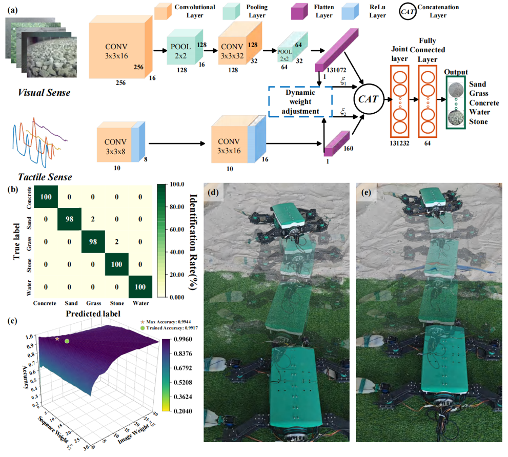 清华大学深圳国际研究生院曲钧天团队在海洋仿生机器人领域取得系列进展