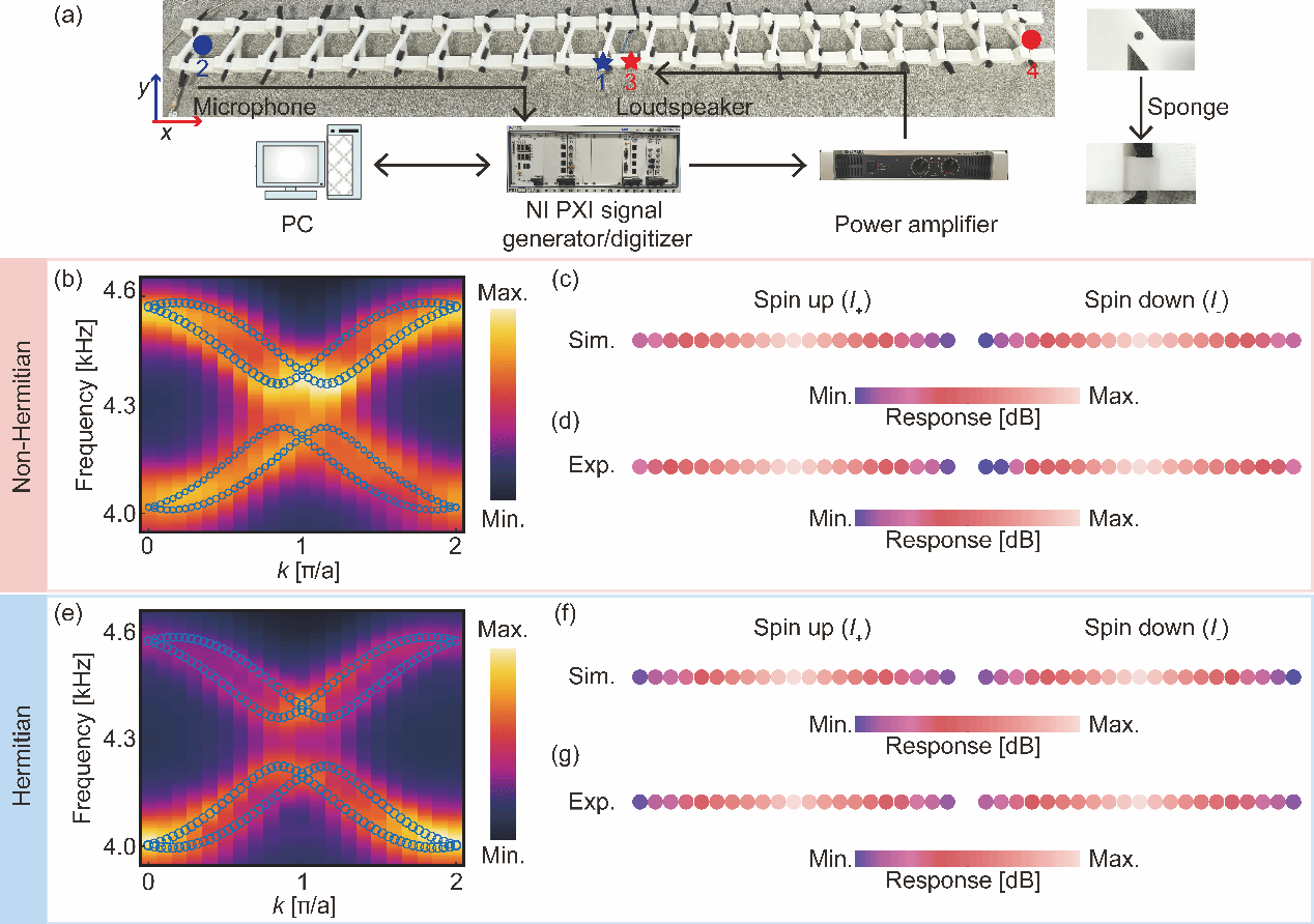 南京大学物理学院刘晓峻、程营课题组实现声学损耗引起的非厄米趋肤效应