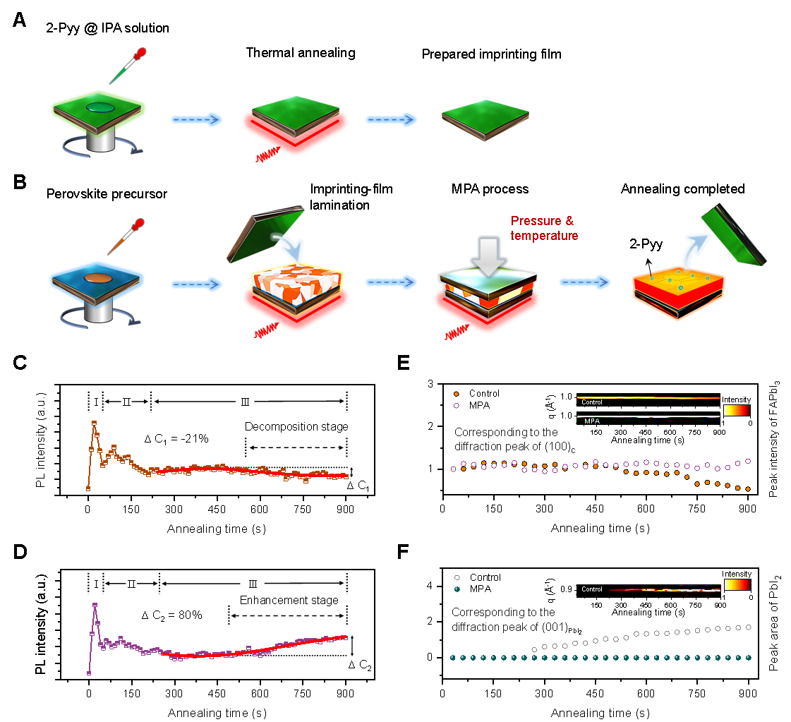 西安交大新年首篇《科学》！钙钛矿电池领域联合研究再次实现重大突破