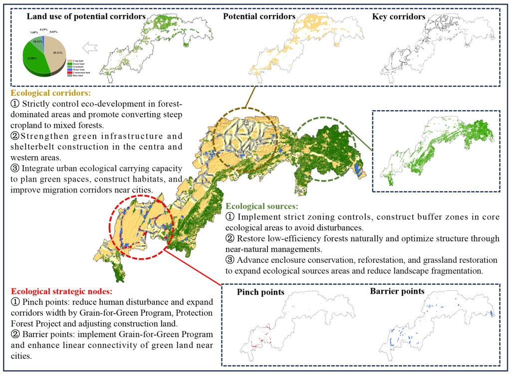 森环森保所在基于生态系统服务供需视角的区域生态安全格局构建中取得新进展