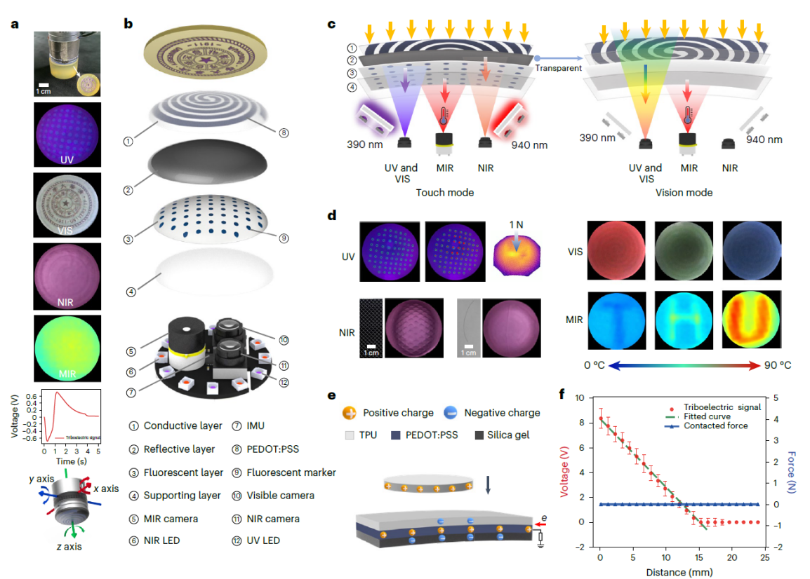 清华大学深圳国际研究生院丁文伯团队合作在多模态高分辨率触觉传感器研发领域取得新进展