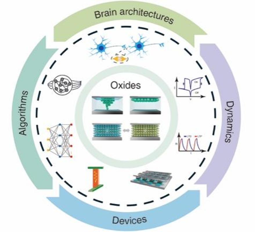西安交大科研团队在金属氧化物阻变器件领域发表综述论文