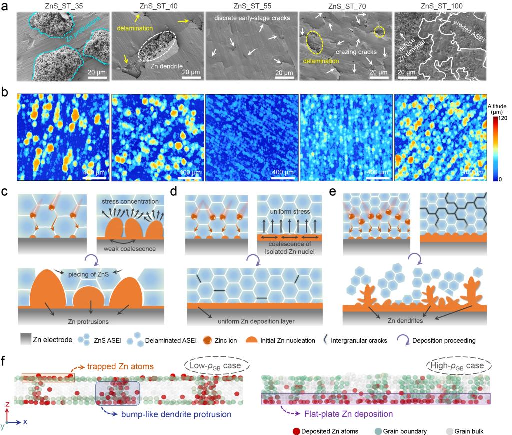 西安交大申胜平教授团队基于力电化学耦合破局金属负极枝晶生长研究成果在《自然通讯》发布