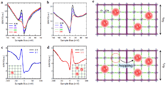 南京大学物理学院闻海虎、杨欢团队发现并提出“半玻戈留玻夫”激发图像解释高温超导机理