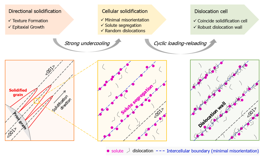西安交大材料创新中心(CAID)揭示3D打印金属中非常规亚晶结构的演变机制和对力学行为的影响