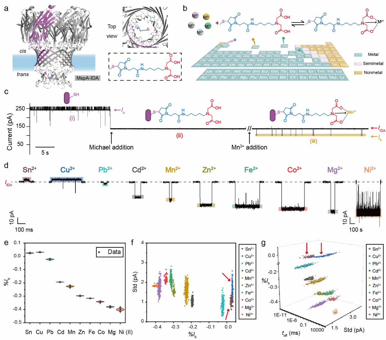 南京大学化学学院黄硕团队：天然水体中金属离子的纳米孔分析