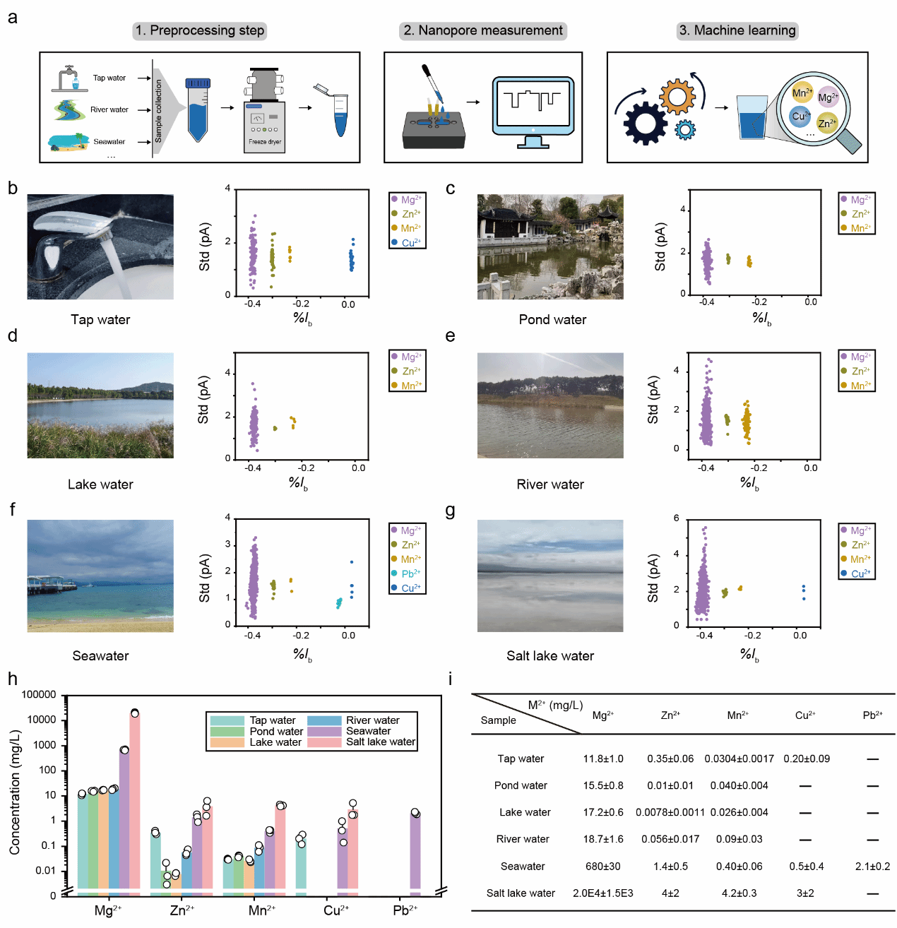 南京大学化学学院黄硕团队：天然水体中金属离子的纳米孔分析