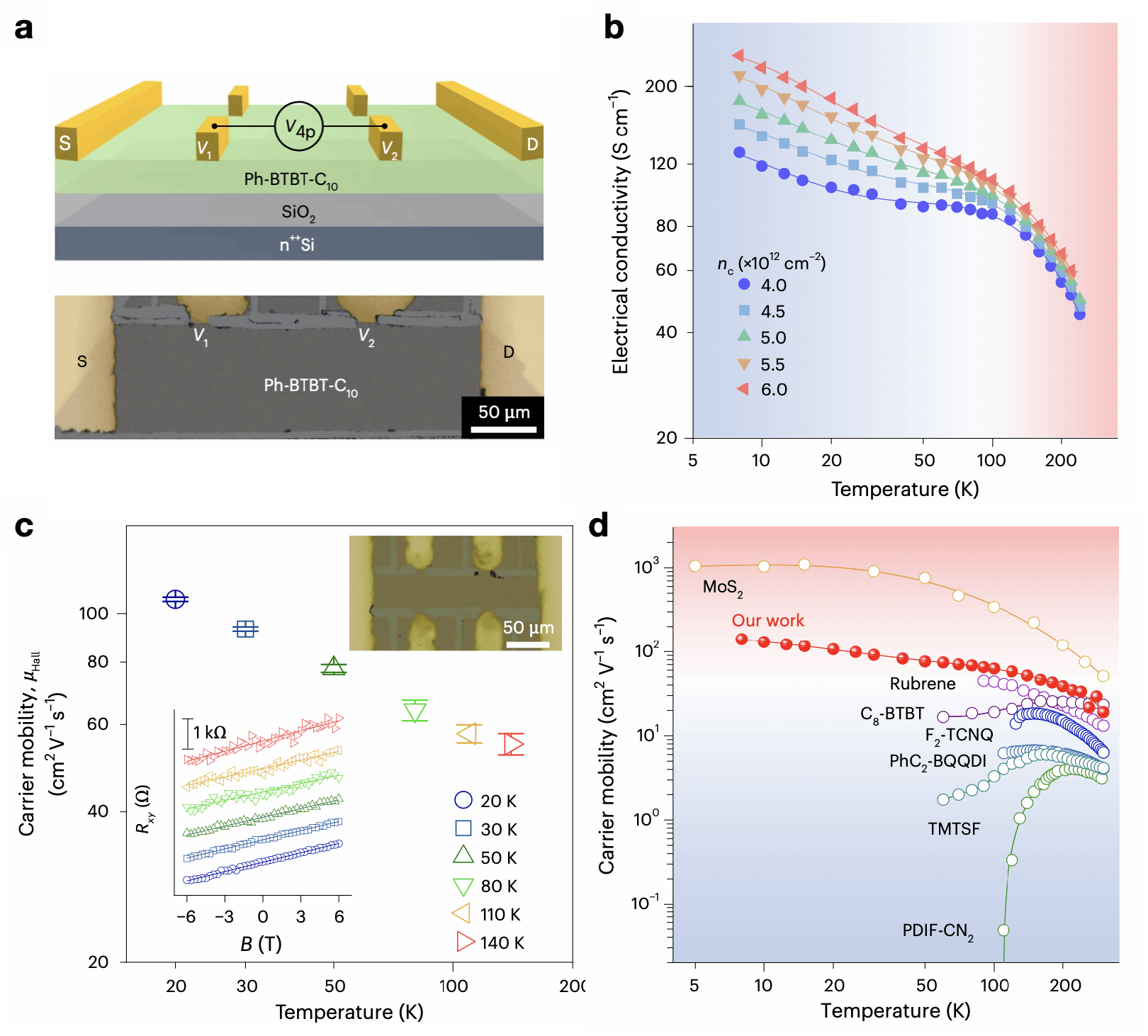 南京大学电子科学与工程学院施毅、李昀团队:有机半导体超宽温区金属型输运研究