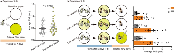 研究揭示工蜂生育需同时获得双重认证