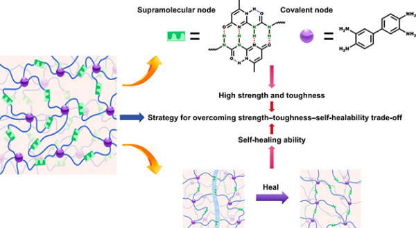 形状记忆聚氨酯分子网络设计和功能化集成研究获进展