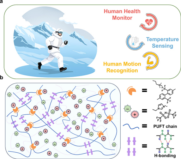 形状记忆聚氨酯分子网络设计和功能化集成研究获进展