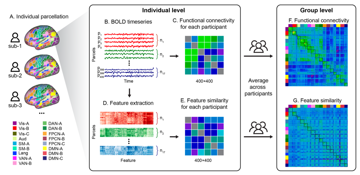 科研人员开发出刻画脑网络交互模式的分析方法