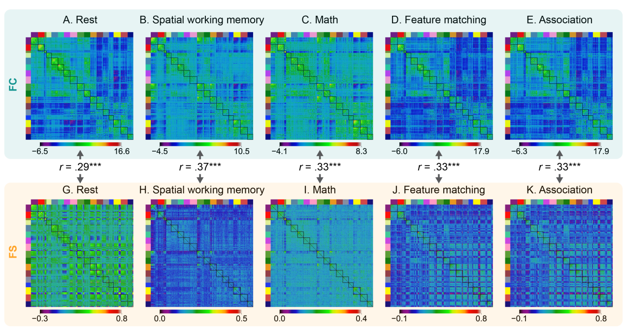 科研人员开发出刻画脑网络交互模式的分析方法