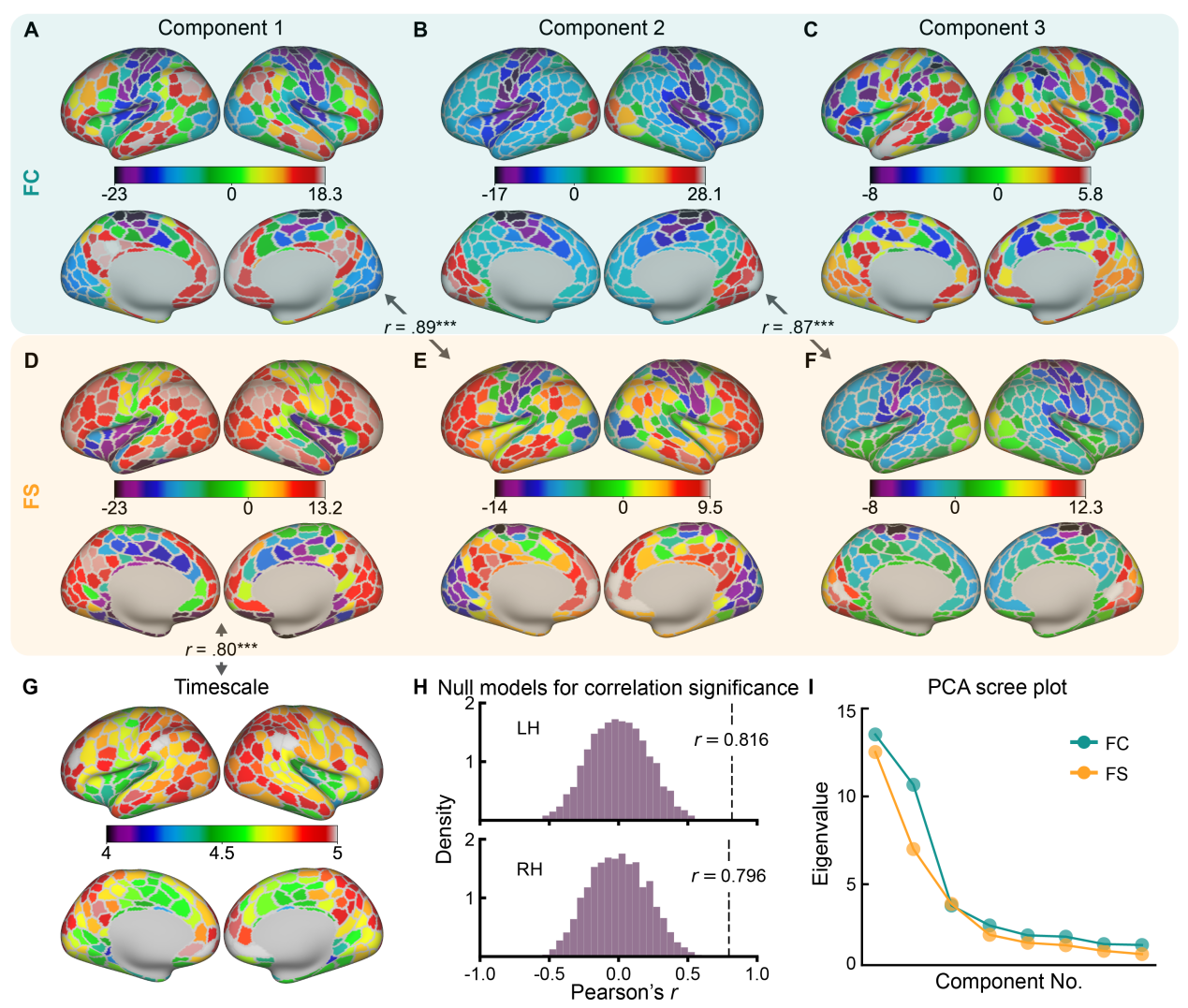 科研人员开发出刻画脑网络交互模式的分析方法