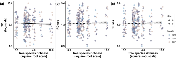 研究揭示树种丰富度通过林下微环境驱动蜜蜂多样性
