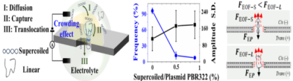 可控介电击穿纳米孔制备与纳米孔捕获机制研究取得进展
