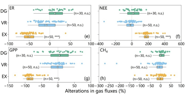青藏高原热喀斯特地貌对高寒生态系统碳动态影响研究获进展