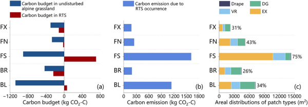 青藏高原热喀斯特地貌对高寒生态系统碳动态影响研究获进展