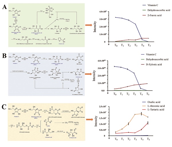 研究揭示刺梨果汁胀气反应化学机制