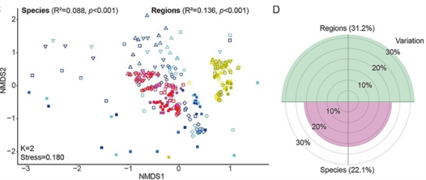 反刍动物胃肠道病毒群落空间异质性形成机制研究取得进展
