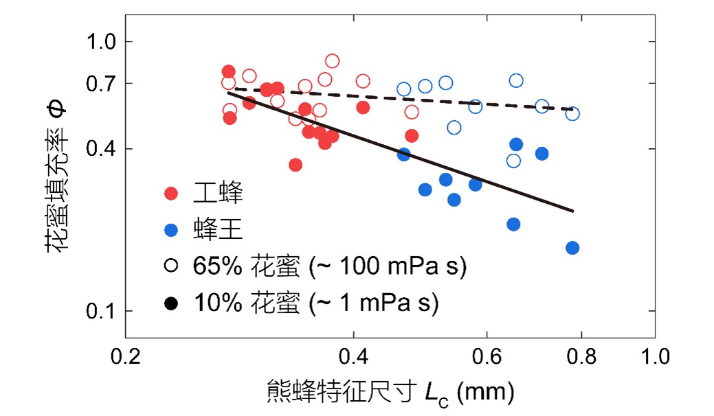 研究破译熊蜂觅食分工机制