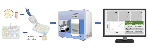 病原菌快速药敏检测研究取得进展