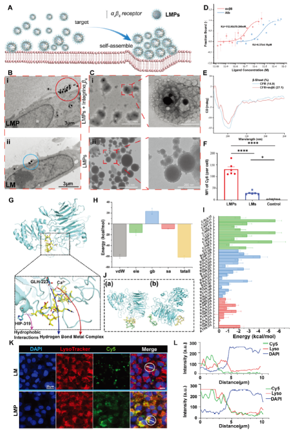 自融合液态金属变形机制研究取得进展