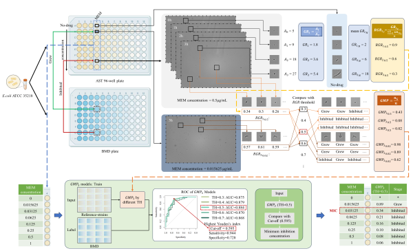 病原菌快速药敏检测研究取得进展