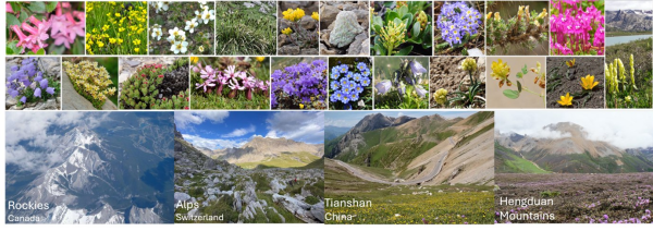 研究揭示生物多样性形成对造山与气候变化响应的普遍规律