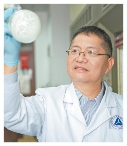 马大为:努力寻找药物合成的最优解