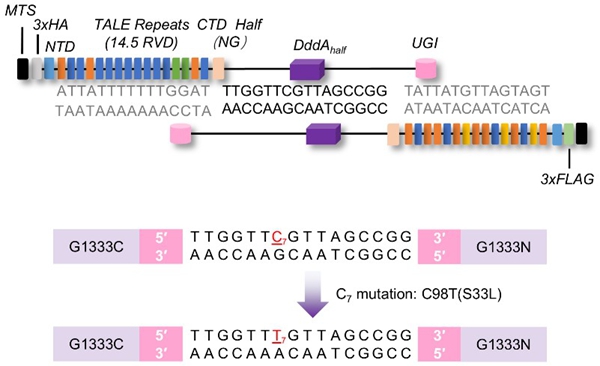 西北农林科技大学（798）植保学院作物疫霉功能基因研究与利用团队在疫霉菌抗药性进化和适合度代价权衡机制研究中取得新进展