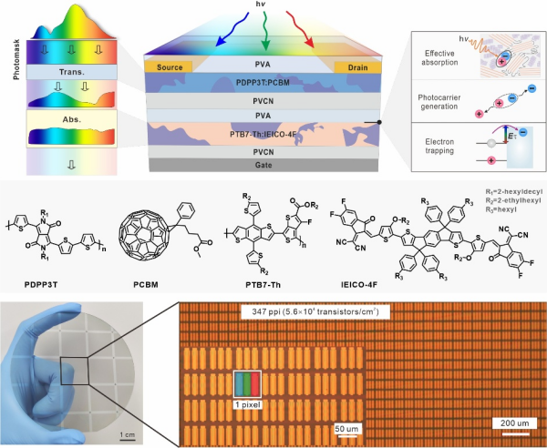 有机自适应视觉感知研究获进展