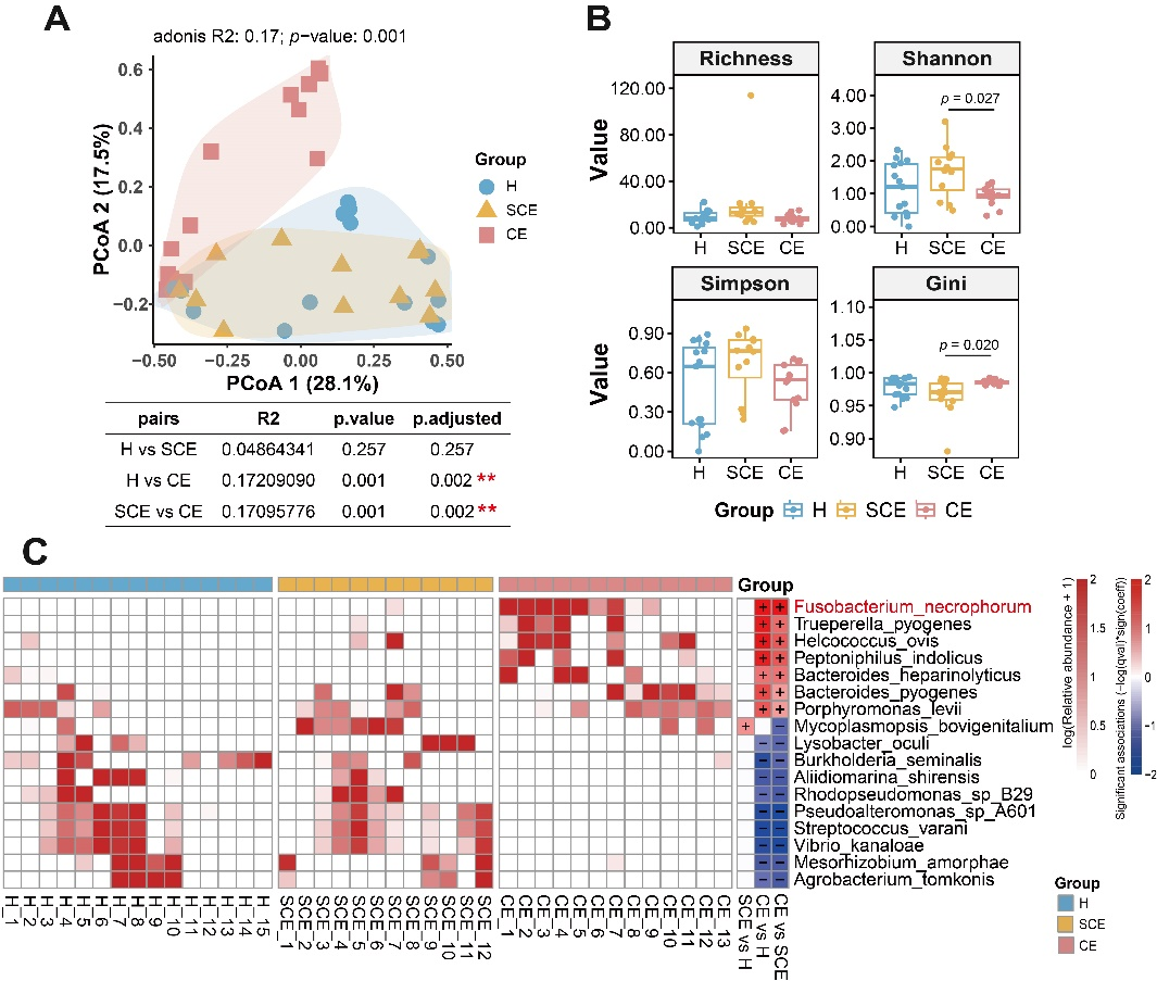 中国农业大学动医学院徐闯教授团队解析奶牛子宫内膜炎子宫微生态特征 挖掘替代抗生素治疗潜在药物通关藤苷G