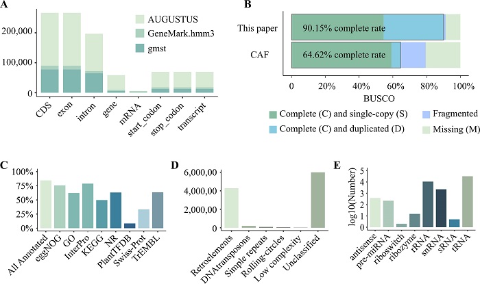 林业所研究团队描绘落叶松时空发育转录图谱