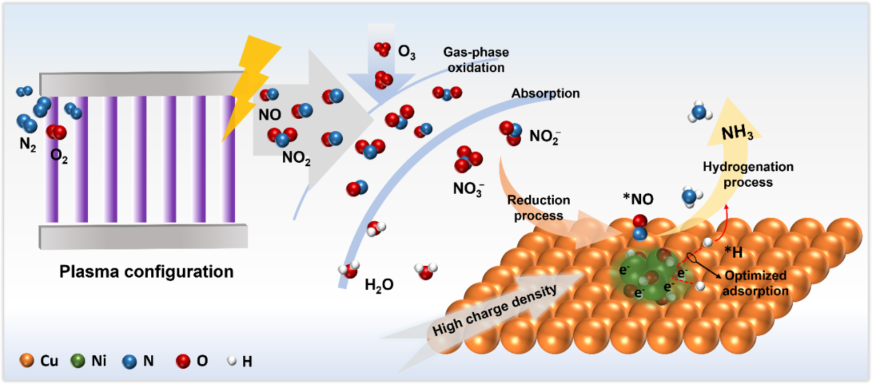 西安交大周仁武教授科研团队在等离子体耦合电催化空气制氨领域取得重要进展