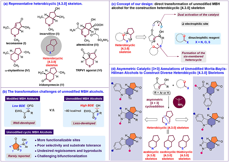 中国海洋大学在手性氮杂环的不对称催化构建及应用研究领域取得新进展