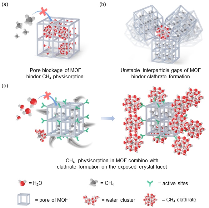 清华大学深圳国际研究生院訾牧聪团队合作在金属有机框架材料调控甲烷固态储存领域取得新进展