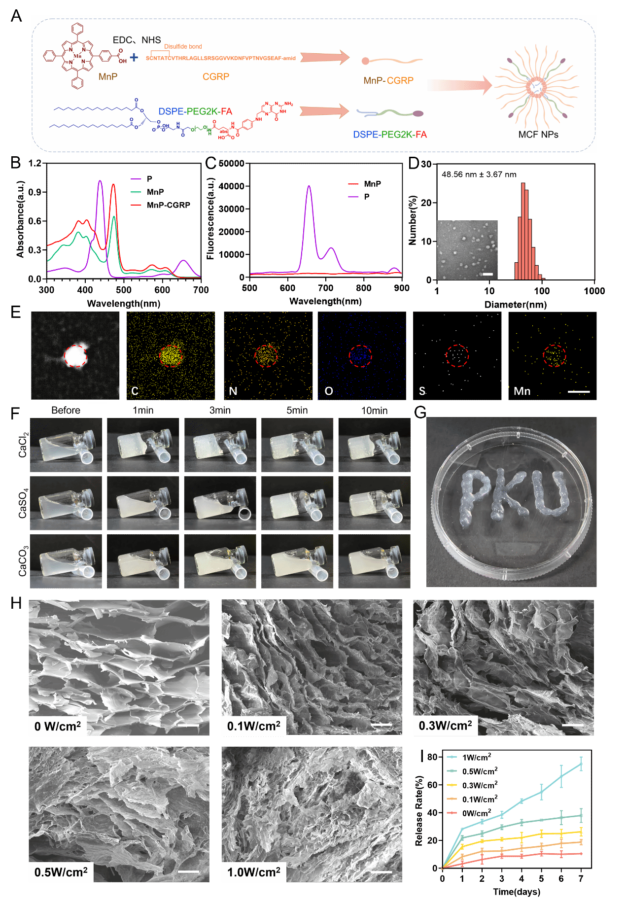 北京大学北京大学第三医院超声医学科王淑敏、梁晓龙团队在《先进科学》发文,为糖尿病创面愈合提供新策略